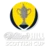 Scottish FA Cup