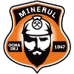 Minerul Ocna Dej