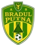 Bradul Putna