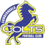 Cumbernauld Colts